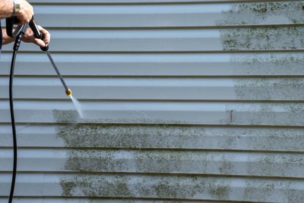 Reliable Pasadena Hills, MO Siding Services Solutions